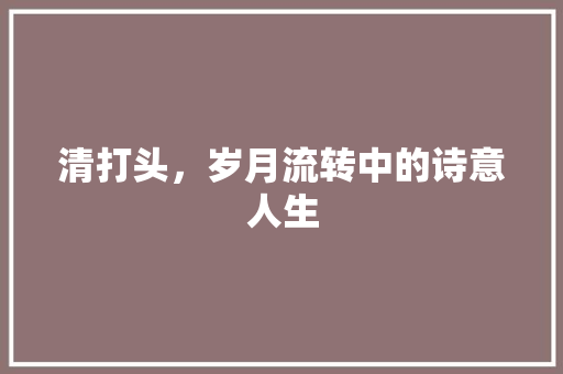 清打头，岁月流转中的诗意人生