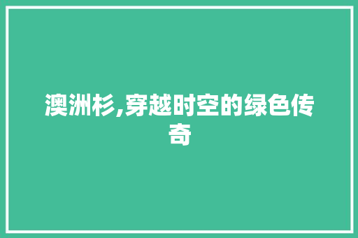 澳洲杉,穿越时空的绿色传奇