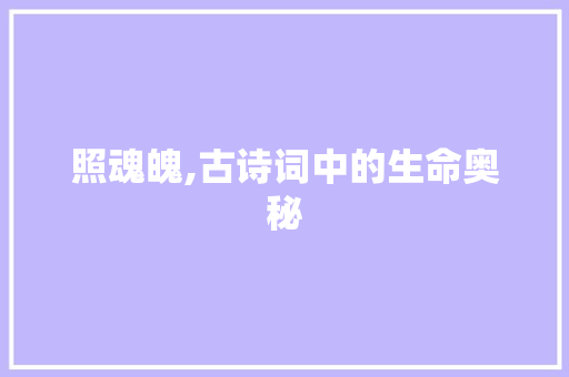 照魂魄,古诗词中的生命奥秘