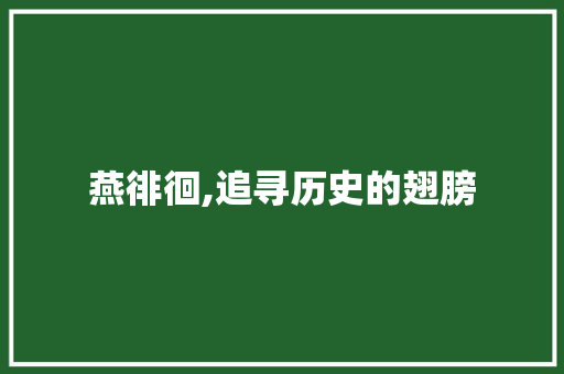 燕徘徊,追寻历史的翅膀