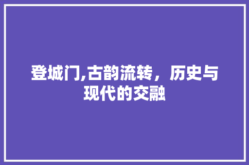 登城门,古韵流转，历史与现代的交融