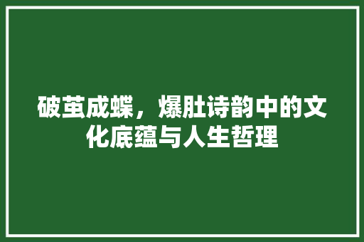 破茧成蝶，爆肚诗韵中的文化底蕴与人生哲理