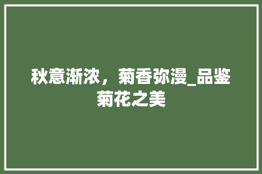 秋意渐浓，菊香弥漫_品鉴菊花之美