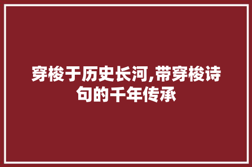 穿梭于历史长河,带穿梭诗句的千年传承