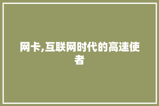 网卡,互联网时代的高速使者