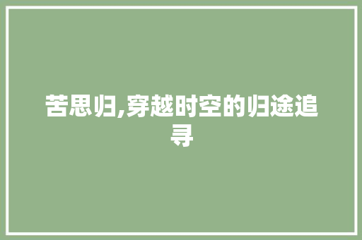 苦思归,穿越时空的归途追寻