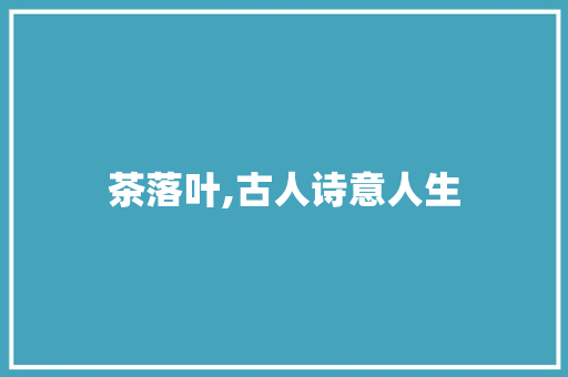 茶落叶,古人诗意人生