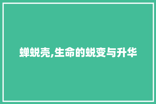 蝉蜕壳,生命的蜕变与升华