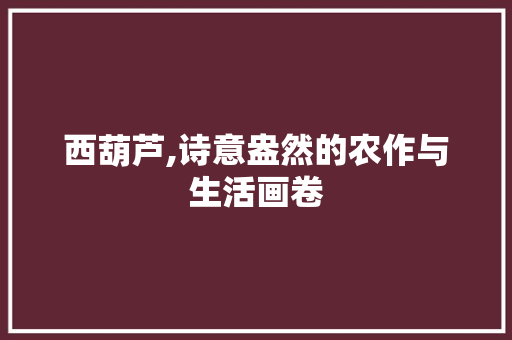 西葫芦,诗意盎然的农作与生活画卷