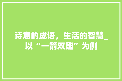 诗意的成语，生活的智慧_以“一箭双雕”为例