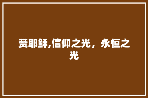 赞耶稣,信仰之光，永恒之光