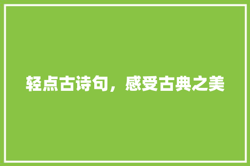 轻点古诗句，感受古典之美