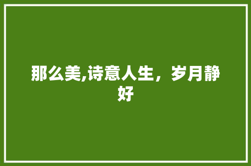 那么美,诗意人生，岁月静好