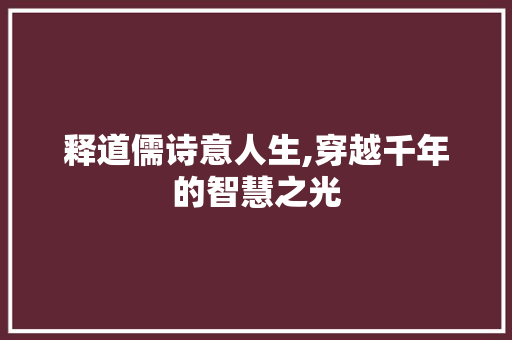释道儒诗意人生,穿越千年的智慧之光