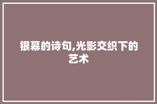 银幕的诗句,光影交织下的艺术