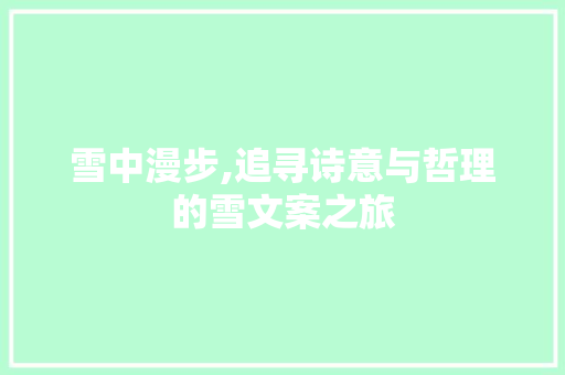 雪中漫步,追寻诗意与哲理的雪文案之旅