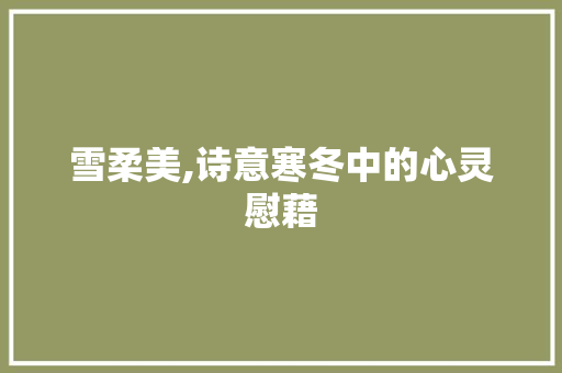 雪柔美,诗意寒冬中的心灵慰藉