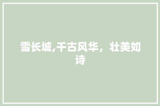 雪长城,千古风华，壮美如诗