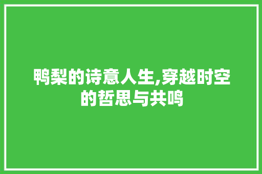 鸭梨的诗意人生,穿越时空的哲思与共鸣