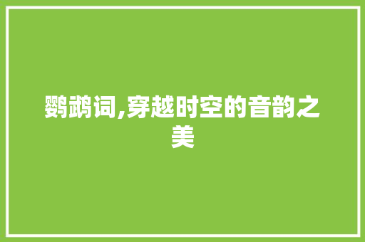 鹦鹉词,穿越时空的音韵之美