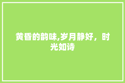 黄昏的韵味,岁月静好，时光如诗