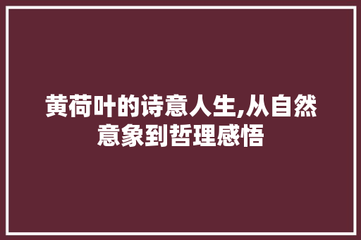 黄荷叶的诗意人生,从自然意象到哲理感悟