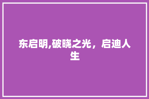 东启明,破晓之光，启迪人生