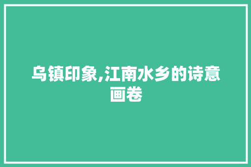 乌镇印象,江南水乡的诗意画卷