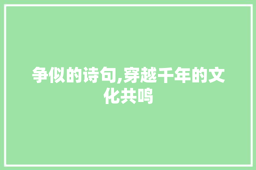 争似的诗句,穿越千年的文化共鸣