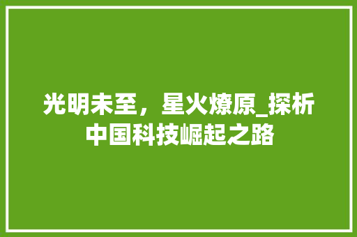 光明未至，星火燎原_探析中国科技崛起之路