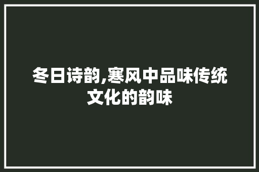 冬日诗韵,寒风中品味传统文化的韵味