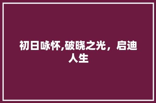 初日咏怀,破晓之光，启迪人生