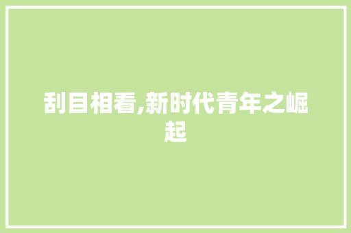 刮目相看,新时代青年之崛起