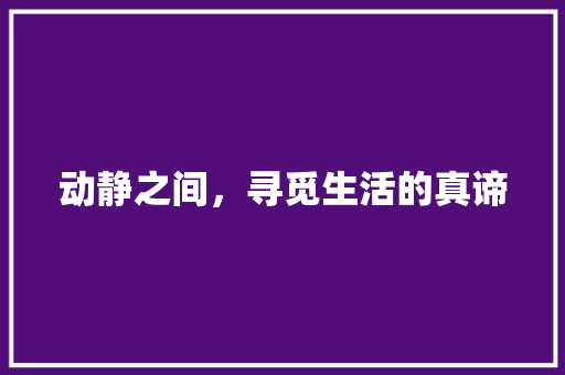 动静之间，寻觅生活的真谛