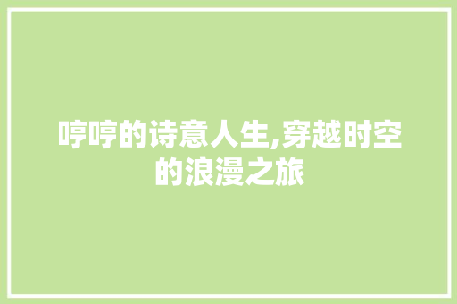 哼哼的诗意人生,穿越时空的浪漫之旅