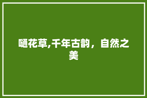嗵花草,千年古韵，自然之美