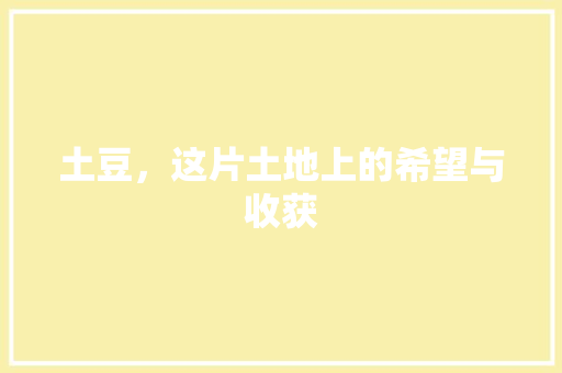 土豆，这片土地上的希望与收获