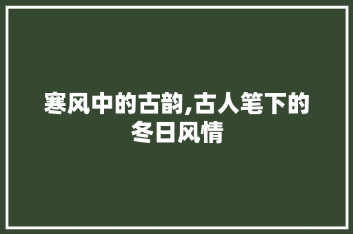寒风中的古韵,古人笔下的冬日风情