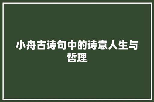 小舟古诗句中的诗意人生与哲理