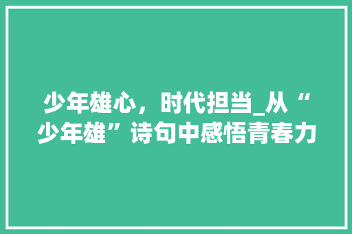 少年雄心，时代担当_从“少年雄”诗句中感悟青春力量