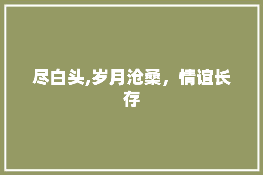 尽白头,岁月沧桑，情谊长存