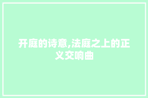 开庭的诗意,法庭之上的正义交响曲