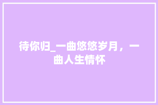 待你归_一曲悠悠岁月，一曲人生情怀