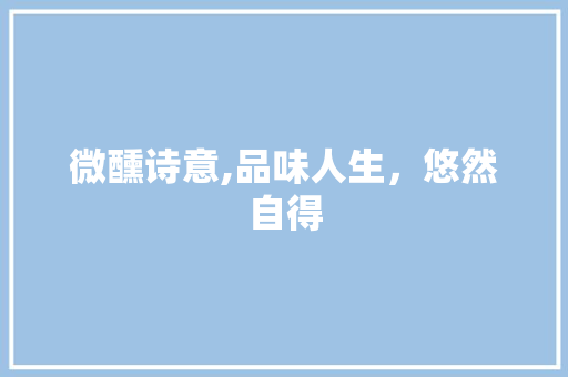 微醺诗意,品味人生，悠然自得