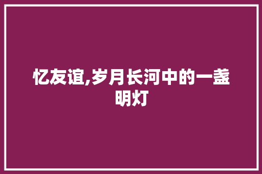 忆友谊,岁月长河中的一盏明灯