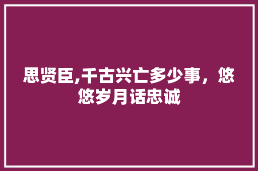 思贤臣,千古兴亡多少事，悠悠岁月话忠诚
