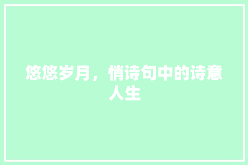 悠悠岁月，悄诗句中的诗意人生