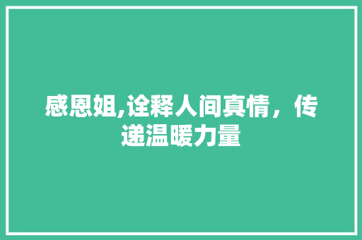 感恩姐,诠释人间真情，传递温暖力量