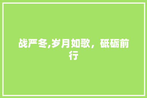战严冬,岁月如歌，砥砺前行