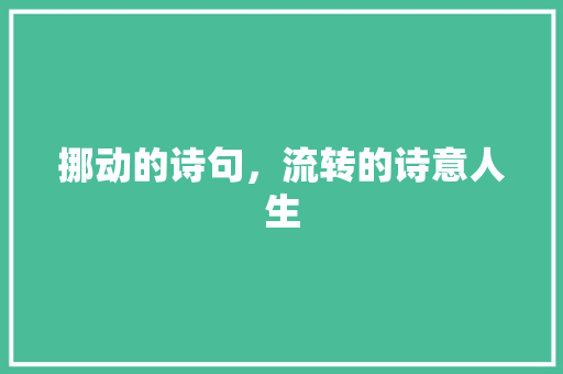 挪动的诗句，流转的诗意人生